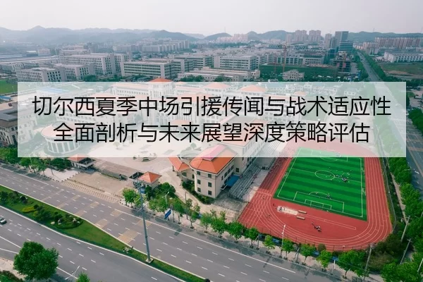 切尔西夏季中场引援传闻与战术适应性全面剖析与未来展望深度策略评估