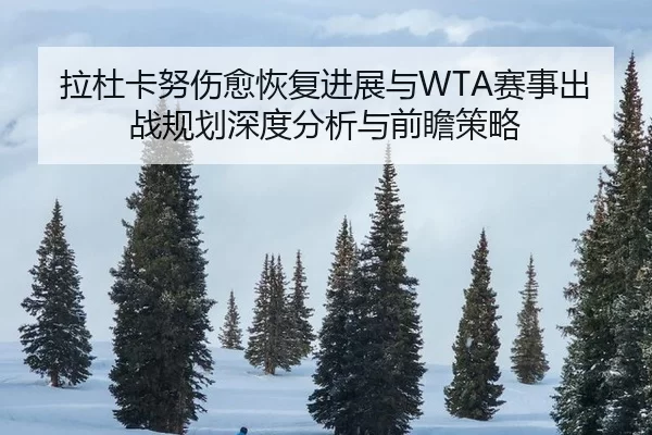 拉杜卡努伤愈恢复进展与WTA赛事出战规划深度分析与前瞻策略