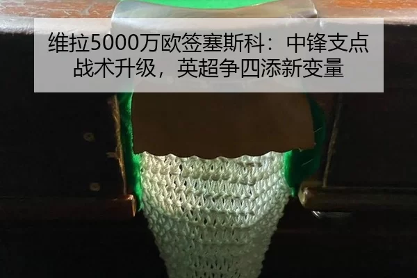 wei-la-wan-ou-qian-sai-si-ke-zhong-feng-zhi-dian-zhan-shu-sheng-ji-ying-chao-zheng-si-tian-xin-bian-liang-3-577.jpg