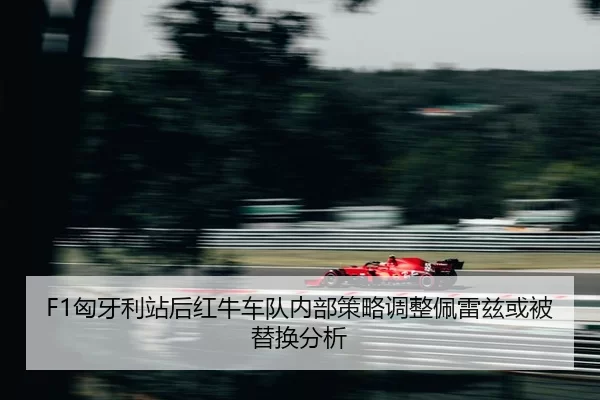 xiong-ya-li-zhan-hou-hong-niu-che-dui-nei-bu-ce-lve-tiao-zheng-pei-lei-zi-huo-bei-ti-huan-fen-xi-2-316.jpg