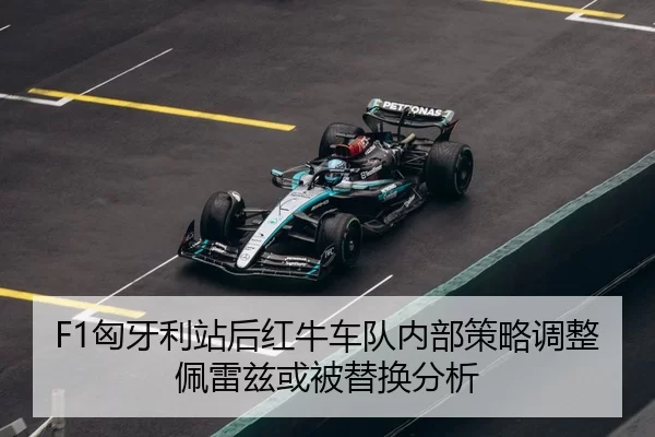 xiong-ya-li-zhan-hou-hong-niu-che-dui-nei-bu-ce-lve-tiao-zheng-pei-lei-zi-huo-bei-ti-huan-fen-xi-3-173.jpg